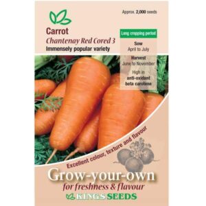 Carrot 'Chantenay Red Cored' Pack Kings Vegetable Seeds