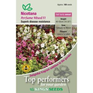 Nicotiana Perfume Mixed F1 Kings Quality Pack Flower Seeds