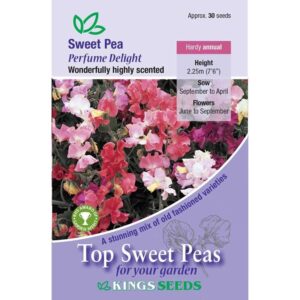 Sweet Pea Seed Collection 'Perfume Delight' Pack Kings Special Flower Seeds