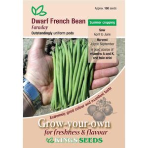 Dwarf French Bean 'Faraday' New Variety Kings Vegetable Seeds