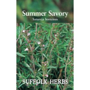 Summer Savory (Satureja Hortensis) Pack Garden Herb Seed Suffolk Herbs