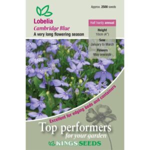 Lobelia Cambridge Blue Kings Quality Garden Seeds Pack Flower