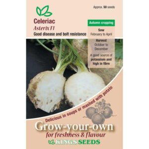 Celeriac 'Asterix F1' Pack Kings Vegetable Seeds
