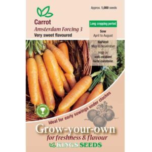 Carrot 'Amsterdam Forcing' RHS AGM Pack Kings Seeds