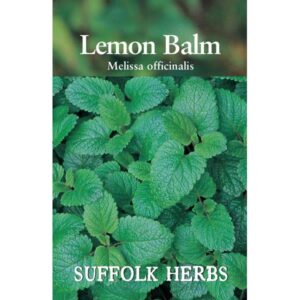 Lemon Balm Perennial Herb Seeds Pack Suffolk Herbs