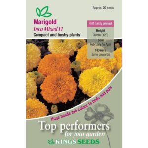 African Marigold Inca Mixed F1 Pack Kings Flower Seed