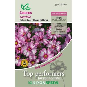 Cosmos Capriola Quality Kings Seeds Flower Pack
