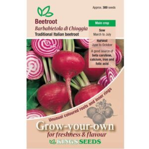 Beetroot Barbabietola di Chioggia Pack King's Vegetable Seeds