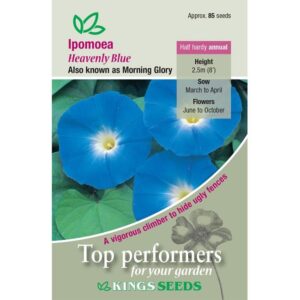 Ipomoea 'Heavenly Blue' Morning Glory Flower Seeds Kings