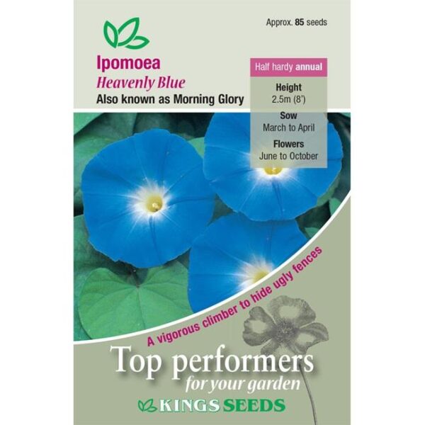 Ipomoea 'Heavenly Blue' Morning Glory Flower Seeds Kings