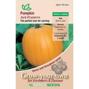 Gourd / Pumpkin 'Jack O Lantern' King's Quality Pack Vegetable Seeds
