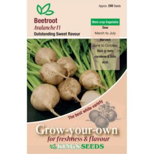Beetroot White Avalanche F1 Pack Seeds