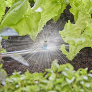 Gardena Micro-Drip-System Spray Nozzle 360 degrees Pack x5 (13322-20)