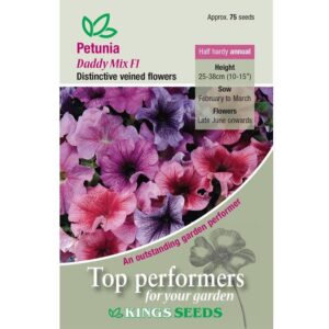 Petunia Daddy Mixed F1 Kings Quality Pack Flower Seeds
