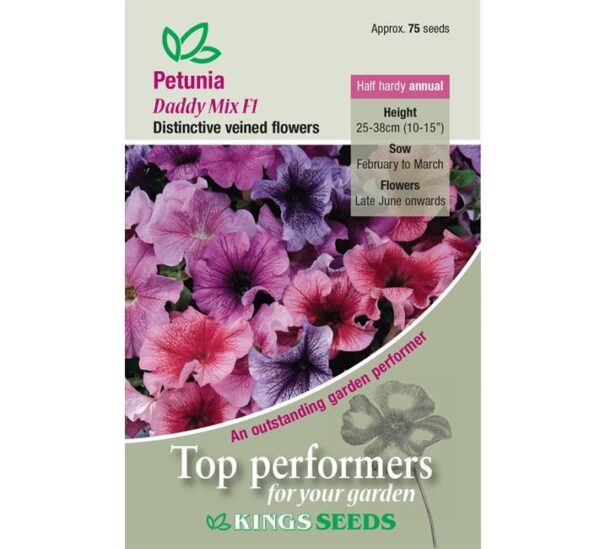 Petunia Daddy Mixed F1 Kings Quality Pack Flower Seeds