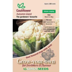 Pack Vegetable Seed Cauliflower 'Autumn Giant' King's Seeds