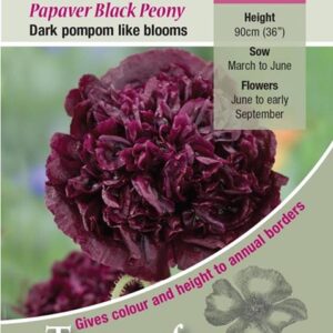 Pack Flower Seeds Papaver (Poppy) Black Peony Kings Quality Garden Seeds