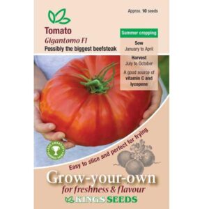 Giant Tomato 'Gigantomo' Pack Kings's Seeds