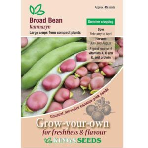 Broad Beans 'Karmazyn' Pack Kings Vegetable Seeds