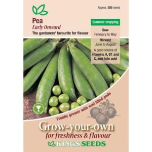 Pea 'Early Onward' Kings's Quality Pack Vegetable Seed