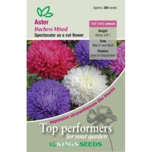 Aster 'Duchess Mixed' Pack Kings Quality Seeds