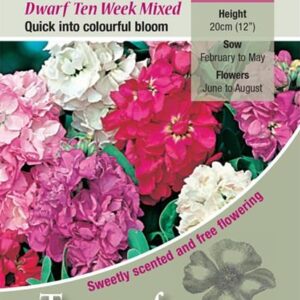 Stock Dwarf Ten Week Mixed Pack Kings Quality Flower Seeds