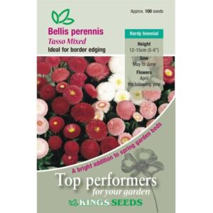 Bellis Perenniis Tasso Mixed King's Seeds Pack Flower