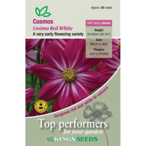 Cosmos Cosimo Red-White Kings Quality Flower Seeds