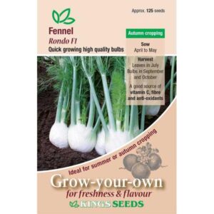 Fennel Rondo F1 Pack King's Quality Seeds