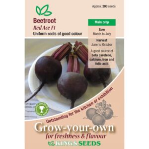 Beetroot 'Red Ace F1' Pack Vegetable Seed Kings's
