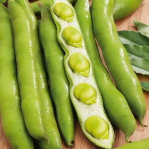 Broad Beans 'Masterpiece Green' Pack Kings Vegetable Seeds