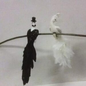 Pair Black & White Birds Peacocks 'Man & Lady' 11in Decoration