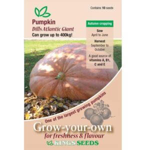 Pumpkin 'Dills Atlantic Giant' Pack King's Quality Seeds