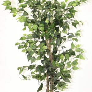Natural Twisted Stem Artificial Green Ficus 4ft Green Houseplant