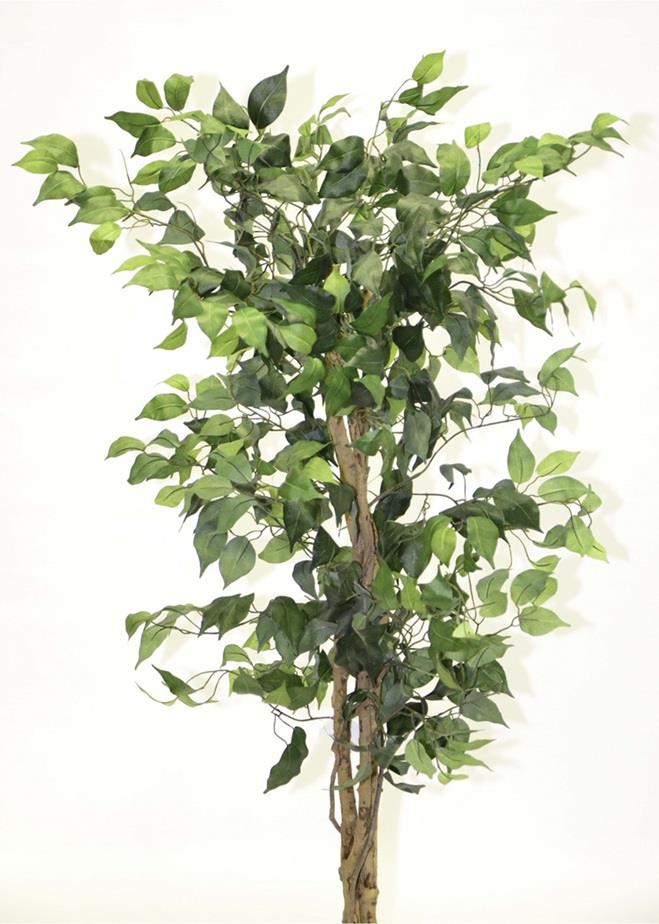 Natural Twisted Stem Artificial Green Ficus 4ft Green Houseplant