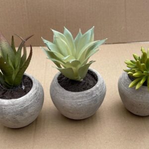 Assorted Succulents Potted Set x3 Artificial House Plants
