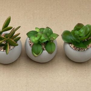 Small Artificial Succulent Potted House Plants Set x3