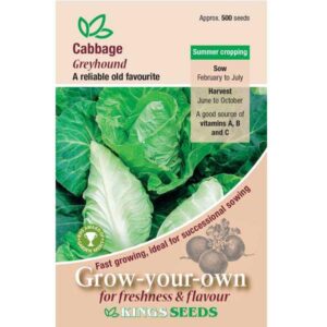 Cabbage 'Greyhound' Pack Kings Vegetable Seeds