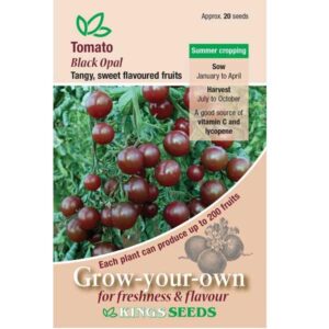Tomato 'Black Opal' Pack Vegetable Seed Kings's Seeds