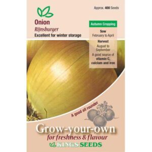 Onion 'Rijnsburger' Pack Garden Vegetable Seeds