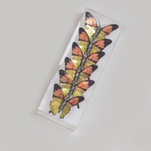 Butterfly + Clip On Pack x 6 Gold 9 cm Christmas Decoration