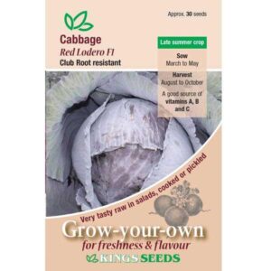 Cabbage Red Lodero F1 King's Quality Pack Vegetable Seed