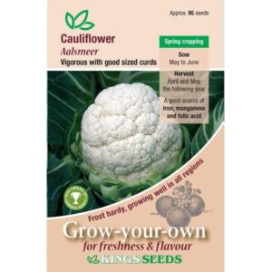 Cauliflower Aalsmeer (Award of Merit) Pack Kings Seeds