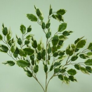 24in Variegated Ficus Leaf Sprays Branched Artificial / Silk Flowers Foliage Pack x6 Stems