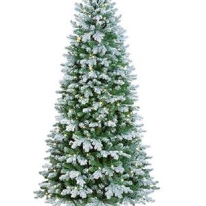 New 6ft Pre-Lit (300 W/White LED's) Frosted Douglas Pine PE/PVC Christmas Tree