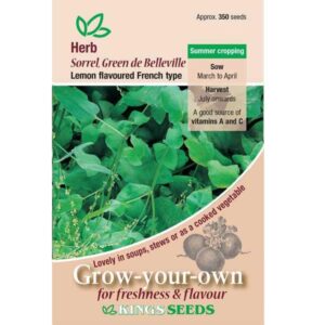 Sorrel Green de Belleville (French) Pack Herb Seeds