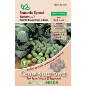 Brussels Sprout 'Maximus F1' RHS Pack Kings Vegetable Seed