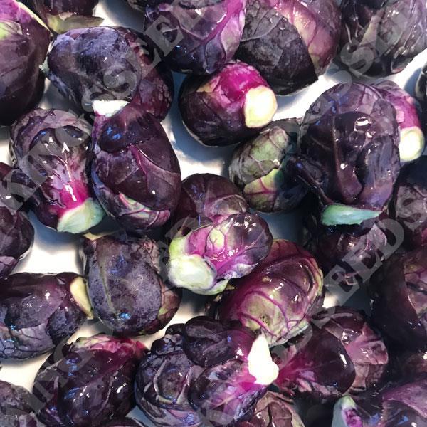 Brussels Sprout Ruby Crunch F1 Pack Vegetable Seed