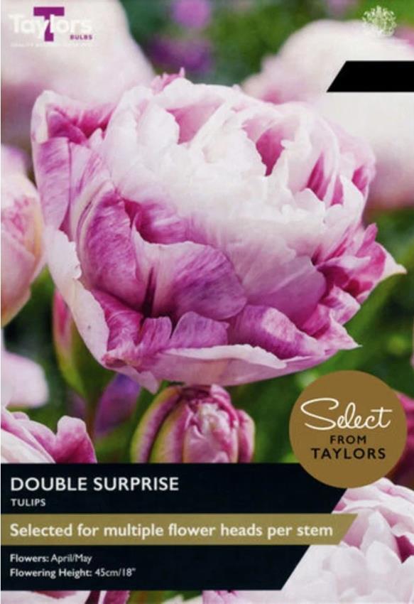 Tulip Bulbs 'Double Surprise' Taylors Select Pack x5