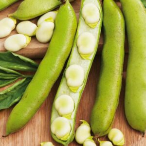 Broad Beans 'Witkiem Mantia' Pack Kings Quality Seeds